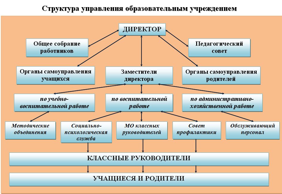 Структура и органы управления образовательной организации.